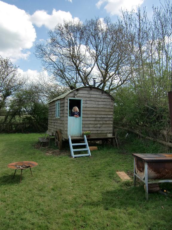 Mollies Hut Frome Quarto foto