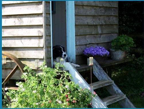 Mollies Hut Frome Quarto foto